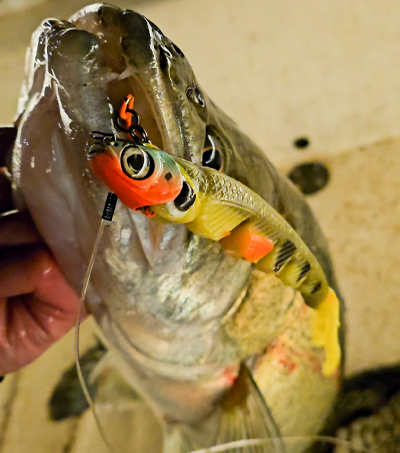 Vertical Predator 17cm